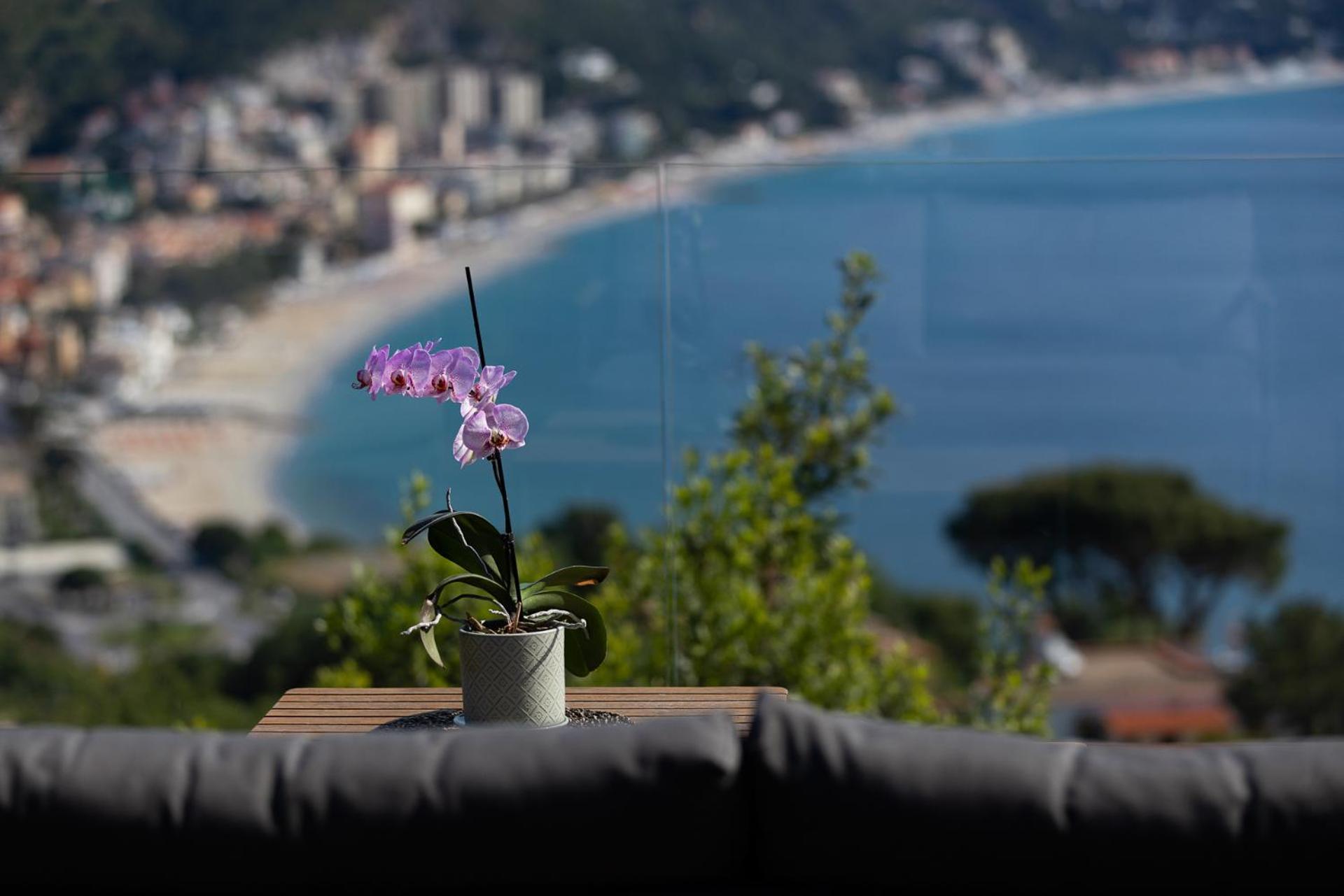 Вилла Spettacolare Vista Isola Terrazza E Idromassaggio Ноли Экстерьер фото